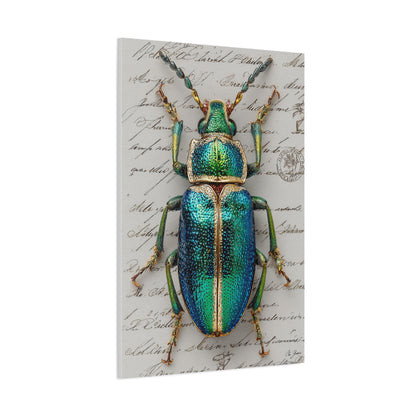 Emerald Beetle Natural History Wall Art & Canvas Print