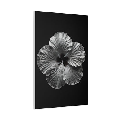 Monochrome Hibiscus Elegance Wall Art & Canvas Prints