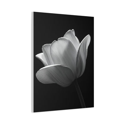 Orchid Symmetry in Black & White Wall Art & Canvas Prints