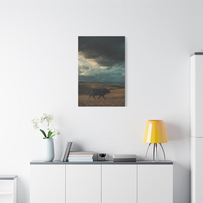 Storm Valley Black Bull Wall Art & Canvas Print