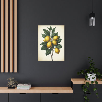 Lemon Branch Illustration Wall Art & Canvas Prints