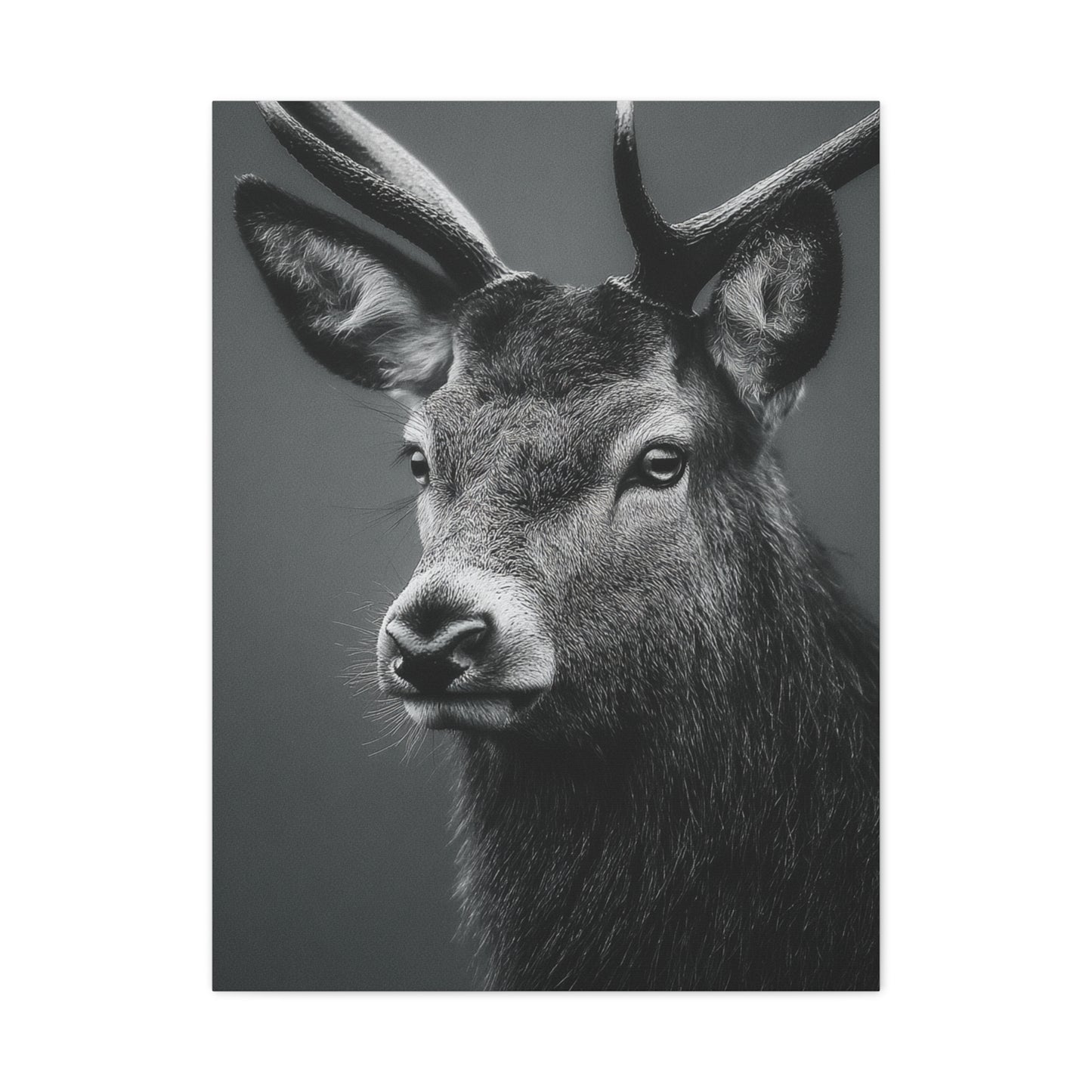 Highland Stag Moonlight Profile Wall Art & Canvas Print