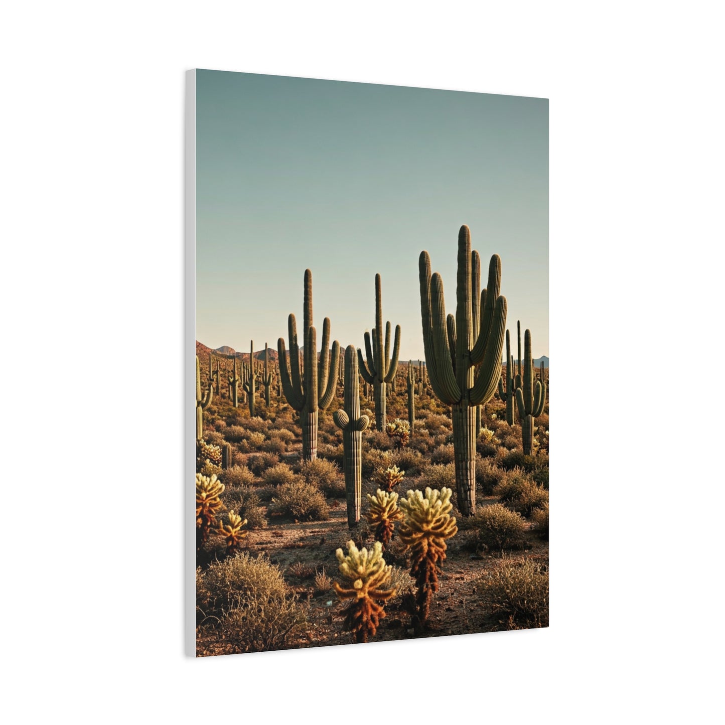 Saguaro Valley Desert Landscape Wall Art & Canvas Prints