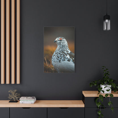 Snowy Grouse Portrait Wall Art & Canvas Prints