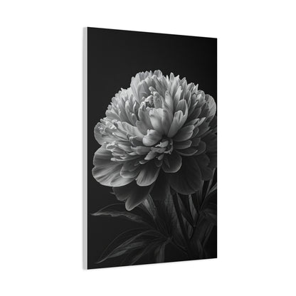 Midnight Peony Elegance Wall Art & Canvas Prints