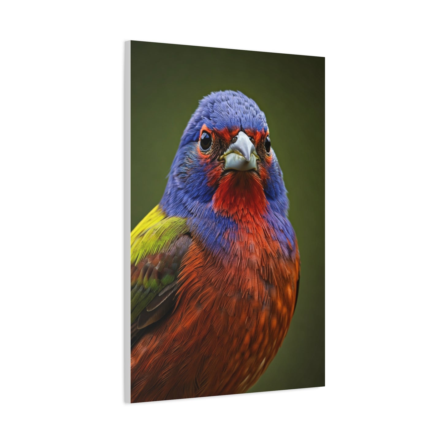 Vibrant Colorburst Sparrow Portrait Wall Art & Canvas Prints