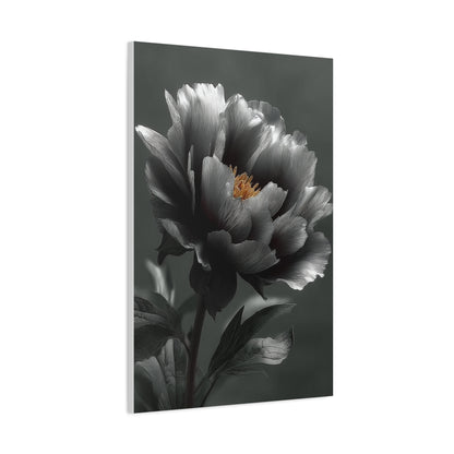 Silver Peony Fine Art Floral Wall Art & Canvas Print