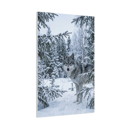 Winter Forest Wolf Natural Encounter Scene Wall Art & Canvas Print
