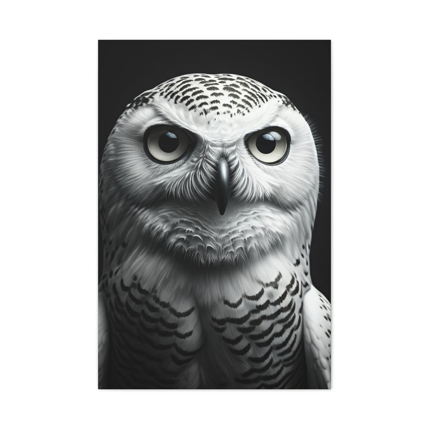 Snowy Owl Intense Gaze Wall Art & Canvas Prints