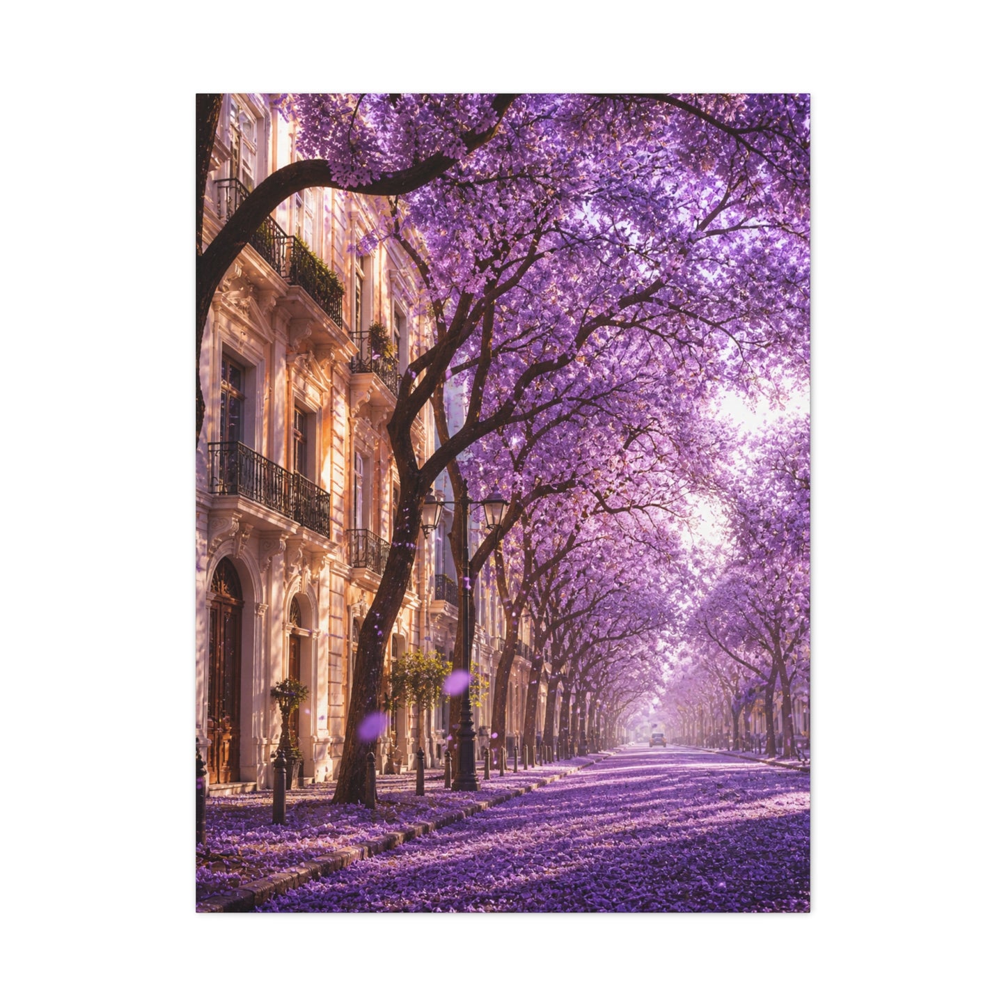 Jacaranda Blossom Boulevard Wall Art & Canvas Print