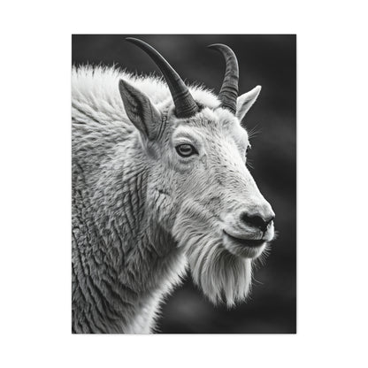 Alpine Goat Portrait Wall Art & Canvas Prints