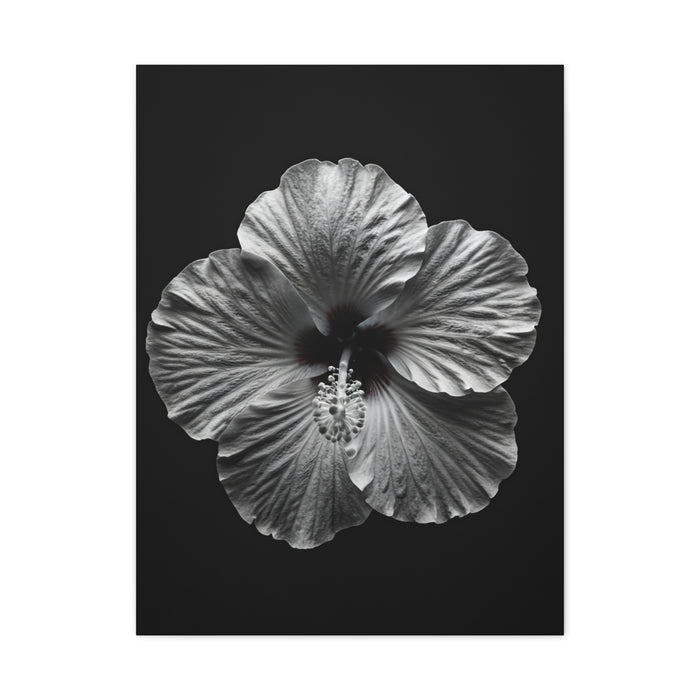 Monochrome Hibiscus Elegance Wall Art & Canvas Prints