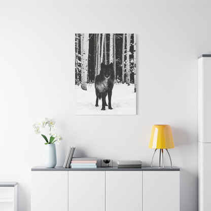 Snow Forest Black Wolf Minimal Scene Wall Art & Canvas Print