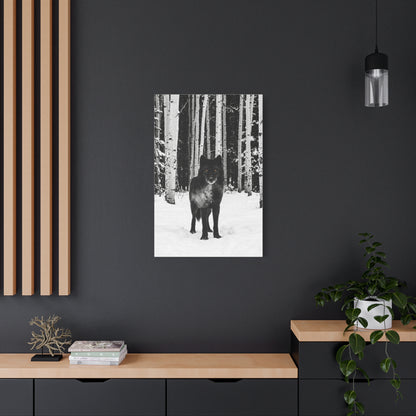 Snow Forest Black Wolf Minimal Scene Wall Art & Canvas Print