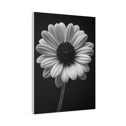 Bold Daisy Contrast Portrait Wall Art & Canvas Prints
