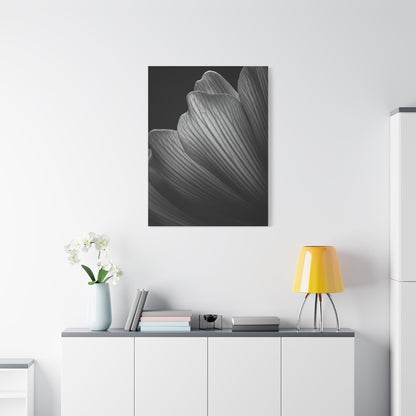 Sculpted Daffodil Bloom Study Wall Art & Canvas Prints