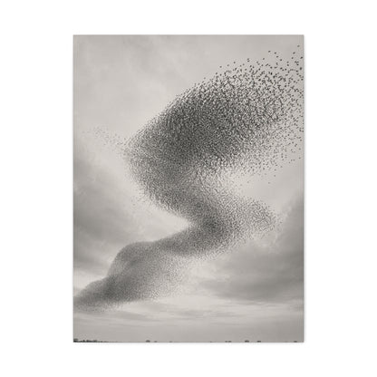 Murmuration Love Formation Monochrome Wall Art & Canvas Print
