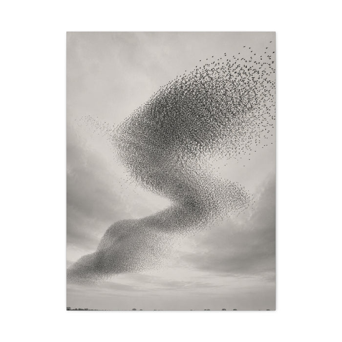 Murmuration Love Formation Monochrome Wall Art & Canvas Print