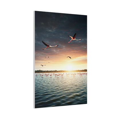 Birds Over Tranquil Ocean Sunrise Wall Art & Canvas Prints