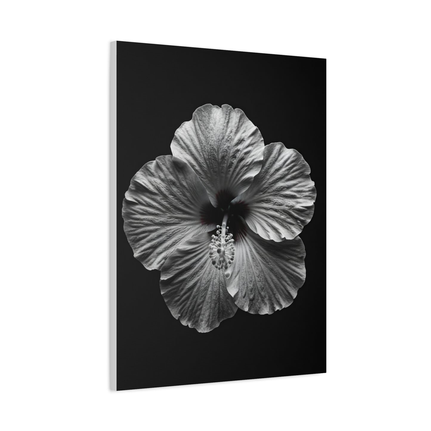 Monochrome Hibiscus Elegance Wall Art & Canvas Prints