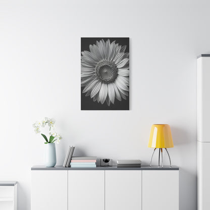 Velvet Orchid Bloom in Monochrome Wall Art & Canvas Prints