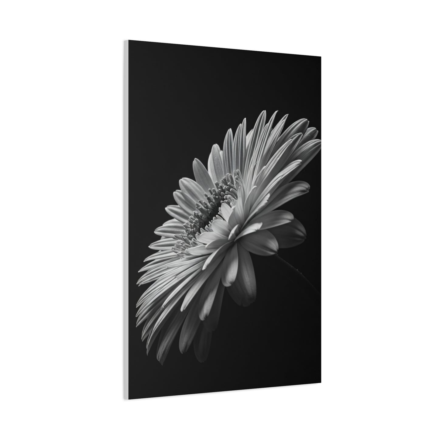 Angled Bloom with Bud Detail Wall Art & Canvas Prints