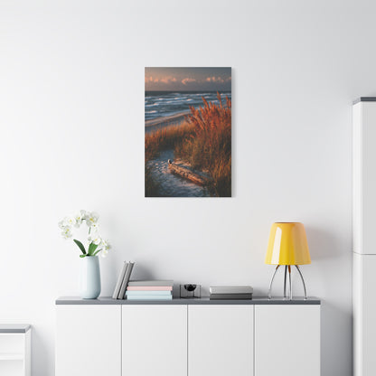 Golden Dune Driftwood Coastal Scene Wall Art & Canvas Print
