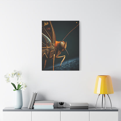 Butterfly Macro Anatomy Close-Up Wall Art & Canvas Prints