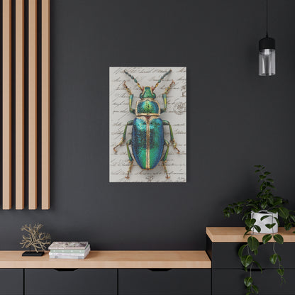 Emerald Beetle Natural History Wall Art & Canvas Print