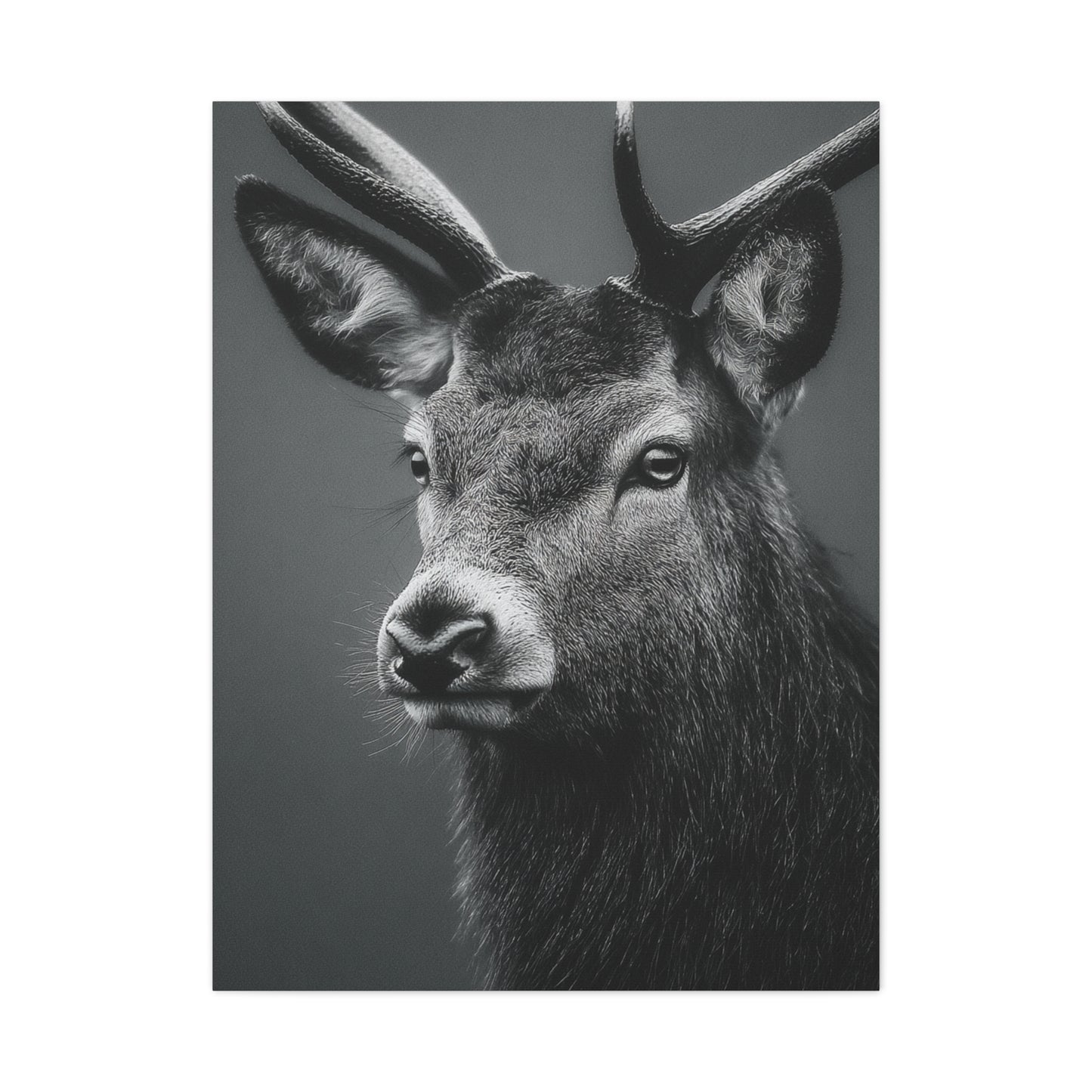 Highland Stag Moonlight Profile Wall Art & Canvas Print