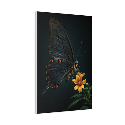 Midnight Black Butterfly On Wildflower Wall Art & Canvas Prints