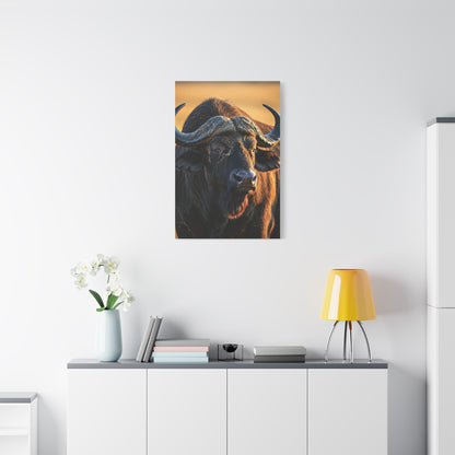 Golden Sunset Cape Buffalo Portrait Wall Art & Canvas Print