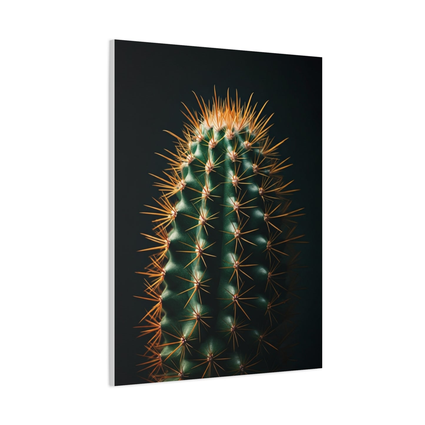 Golden Spine Barrel Cactus Close-Up Wall Art & Canvas Prints
