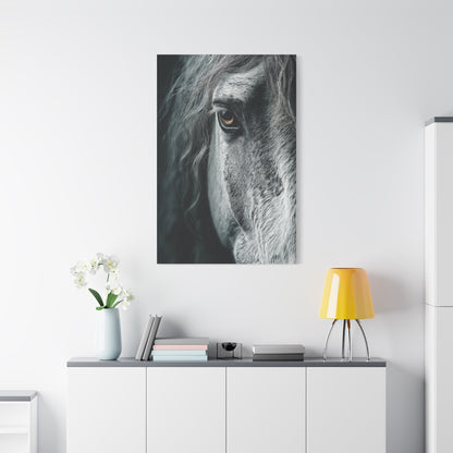 Horse Eye Intimate Monochrome Wall Art & Canvas Print