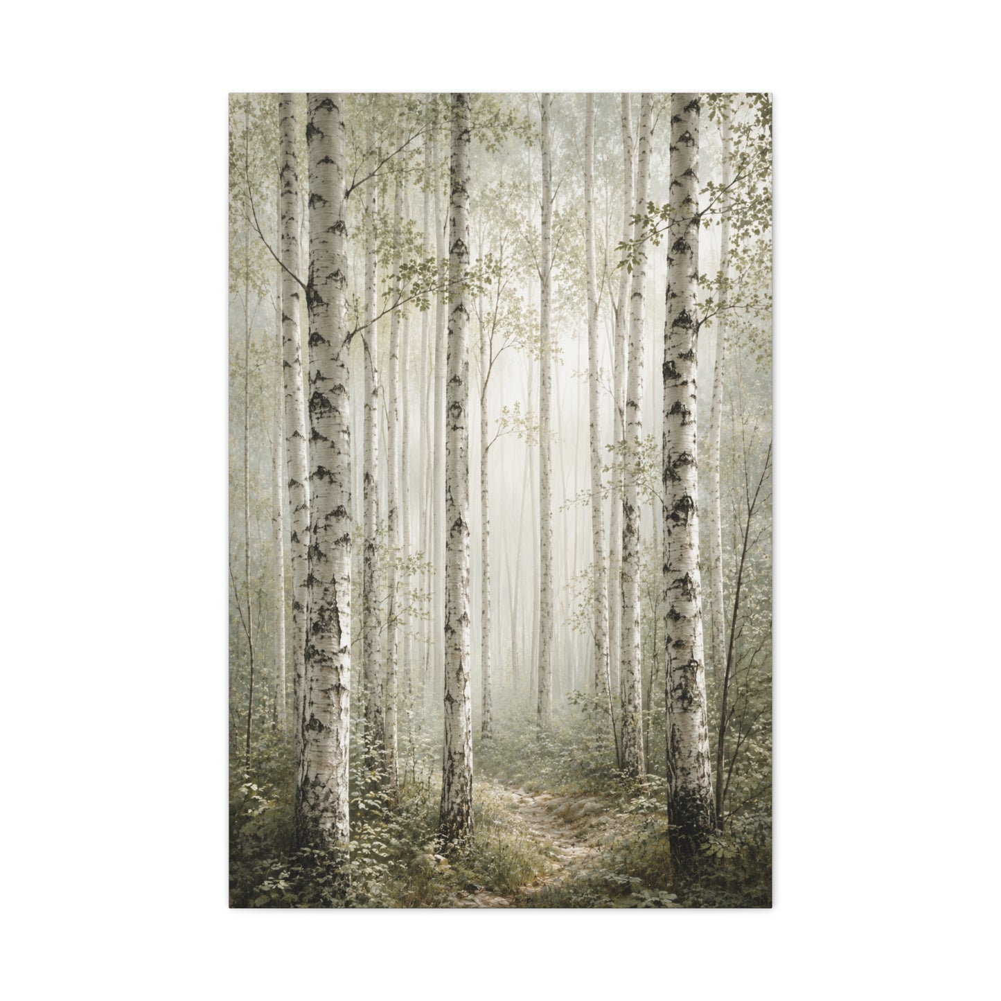 Soft Birch Forest Pathway Trees Wall Art & Canvas Print