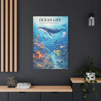 Ocean Life Educational Diagram – Wall Art & Canvas Print