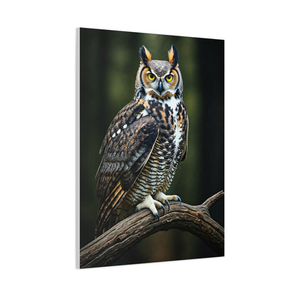 Majestic Owl Perch Wall Art & Canvas Prints