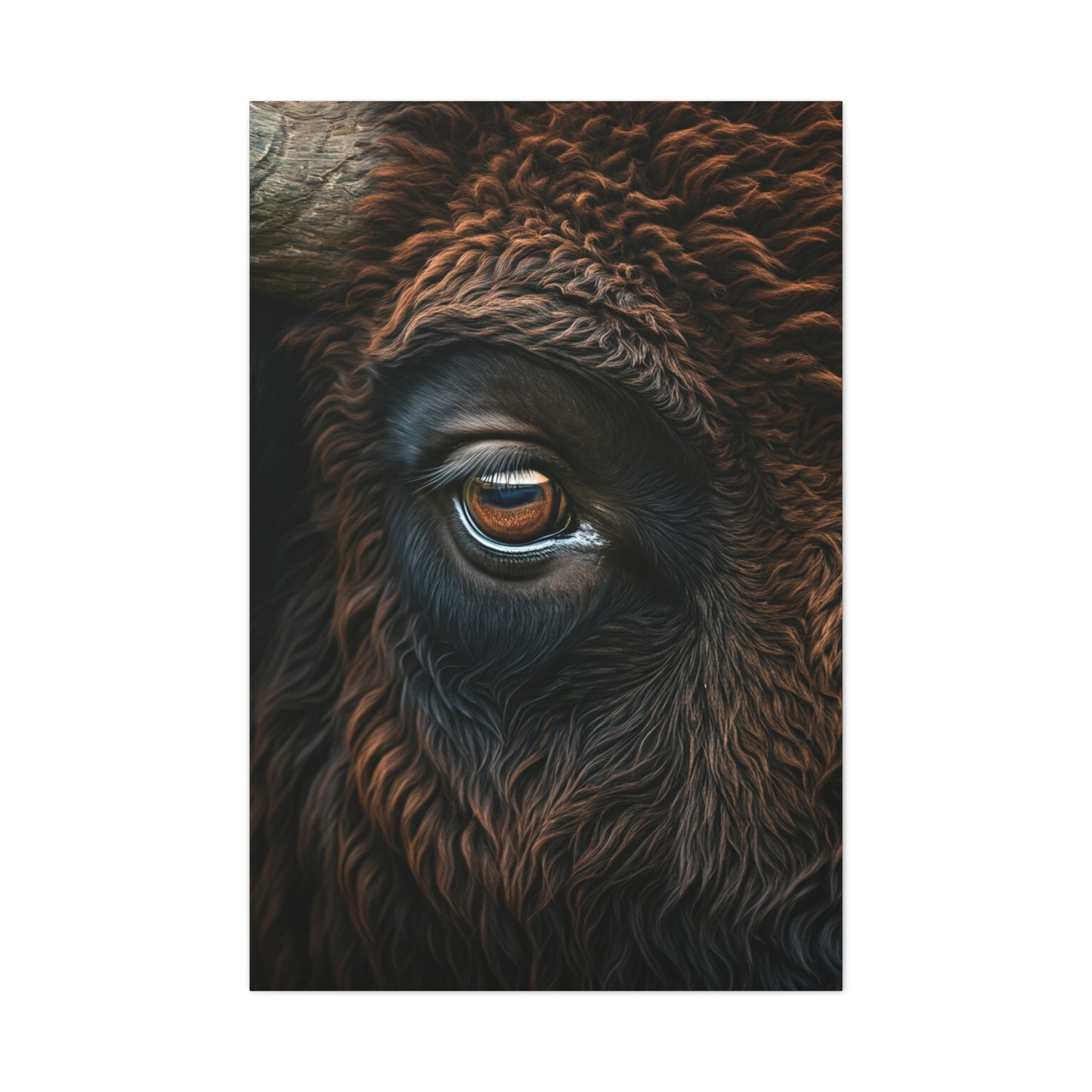 Macro Bison Eye Reflection Portrait Wall Art & Canvas Print