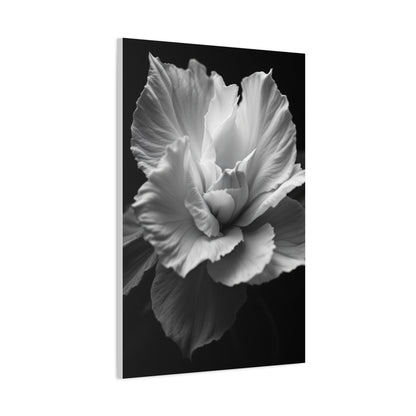 Sculpted Petal Elegance Close-Up Wall Art & Canvas Prints