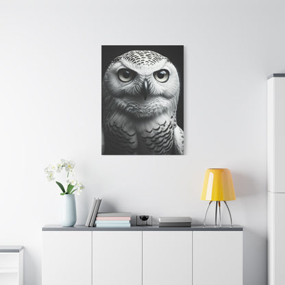 Snowy Owl Intense Gaze Wall Art & Canvas Prints