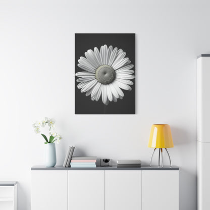 White Daisy Bloom Portrait Wall Art & Canvas Prints