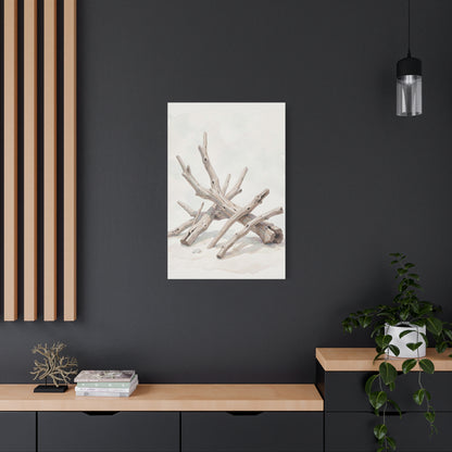 Weathered Driftwood Sculpture Wall Art & Canvas Prints