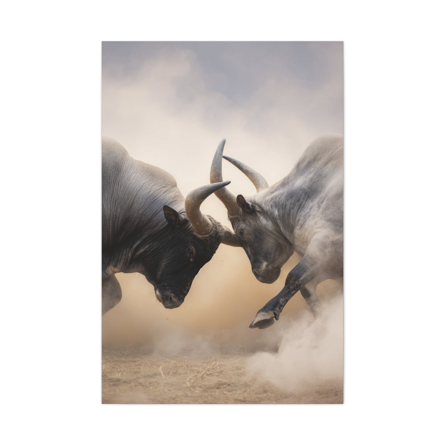 Bulls Clashing Horns Dramatic Wildlife Wall Art & Canvas Print