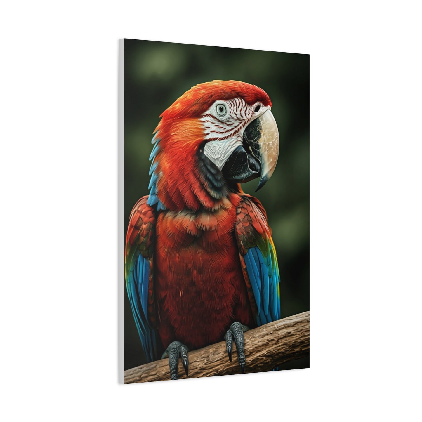 Scarlet Macaw Majesty Wall Art & Canvas Prints
